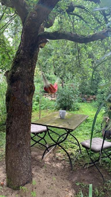 Strandlust Doebeln - Bungalow Fuer Eine Gemuetliche Auszeit Exteriör bild