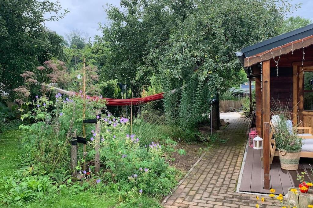 Strandlust Doebeln - Bungalow Fuer Eine Gemuetliche Auszeit Exteriör bild